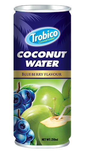 Coconut water Blueberry alu can 250ml